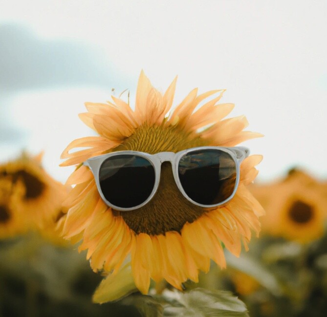 The Affiliate economy – unleashing the power of networks